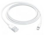 Apple Lightning Cable USED