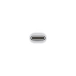 Apple Thunderbolt 3 (USB-C) to Thunderbolt 2 Adapter - تصویر 2